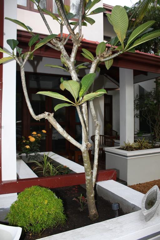 Aliya Lanka Hotel เบอร์อูวาลา ภายนอก รูปภาพ